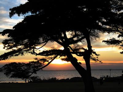 Williamstown beach Sunset