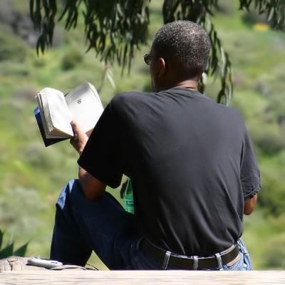 Reading