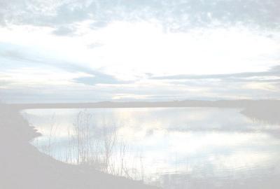 FadedReflections.jpg