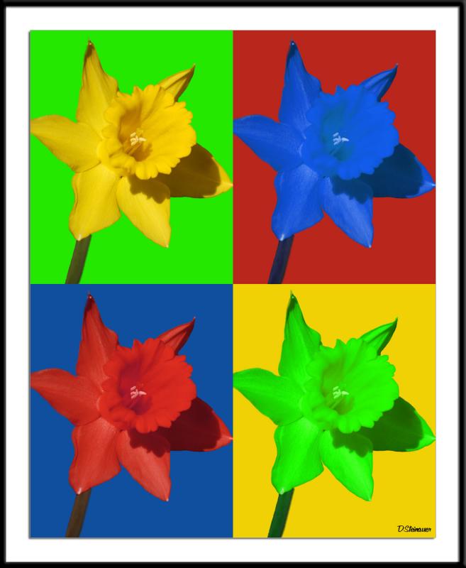 4/11/05 - Four Daffodils 3<br><font size=3>ds20050410_0181awF 4 Daffodils 3.jpg</font>
