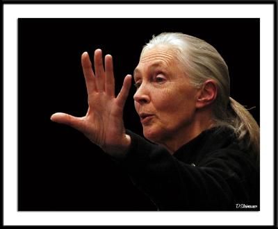 ds20050404_0131a1wF Jane Goodall.jpg