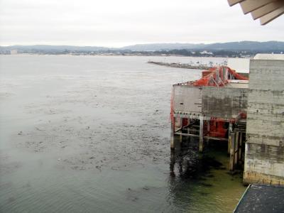 Monterey Bay and fomer cannery