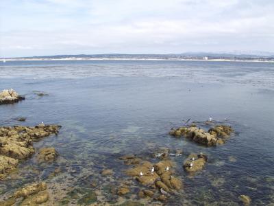Monterey Bay at low tide