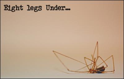 Eight Legs Under