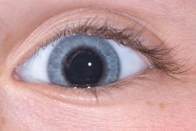 Talis eye 2893.jpg
