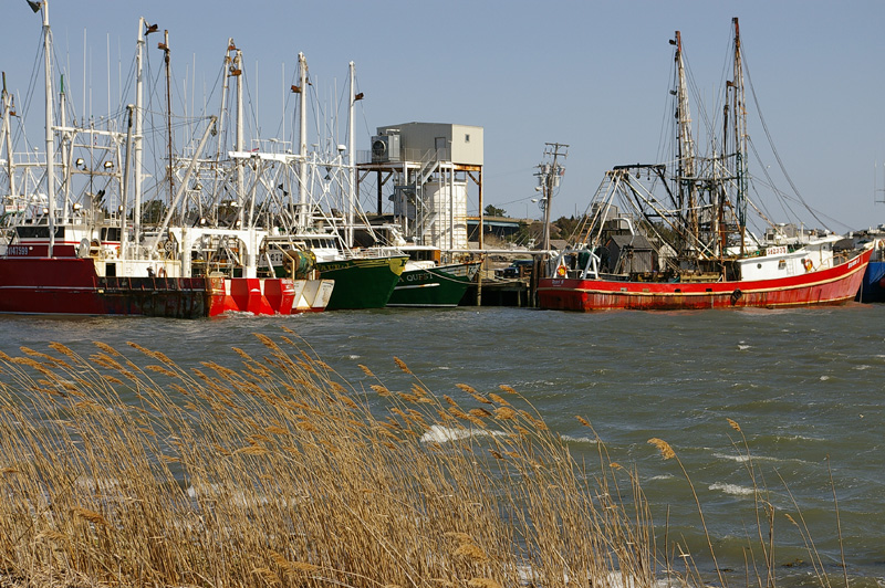 boats.jpg