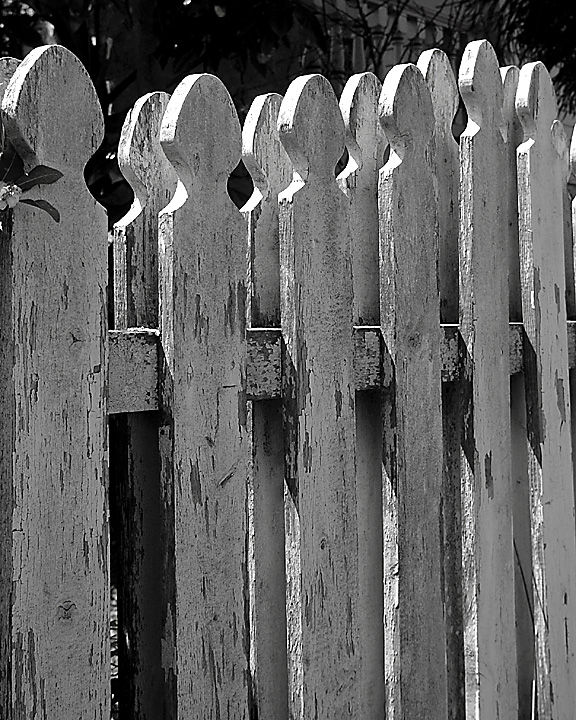 fence1.jpg