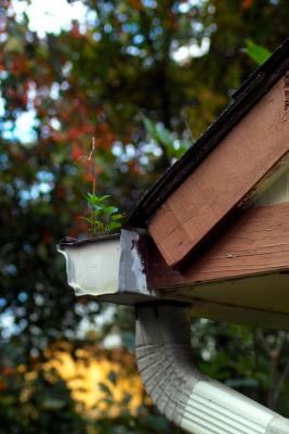 IMG05461+c05.jpg