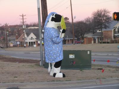 Chik Fil A Cow mascot.JPG