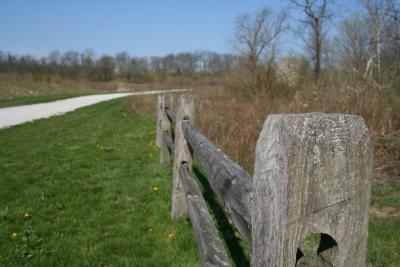 fence0007.JPG