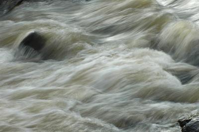 1/16/05 - Rain Swollen Stream