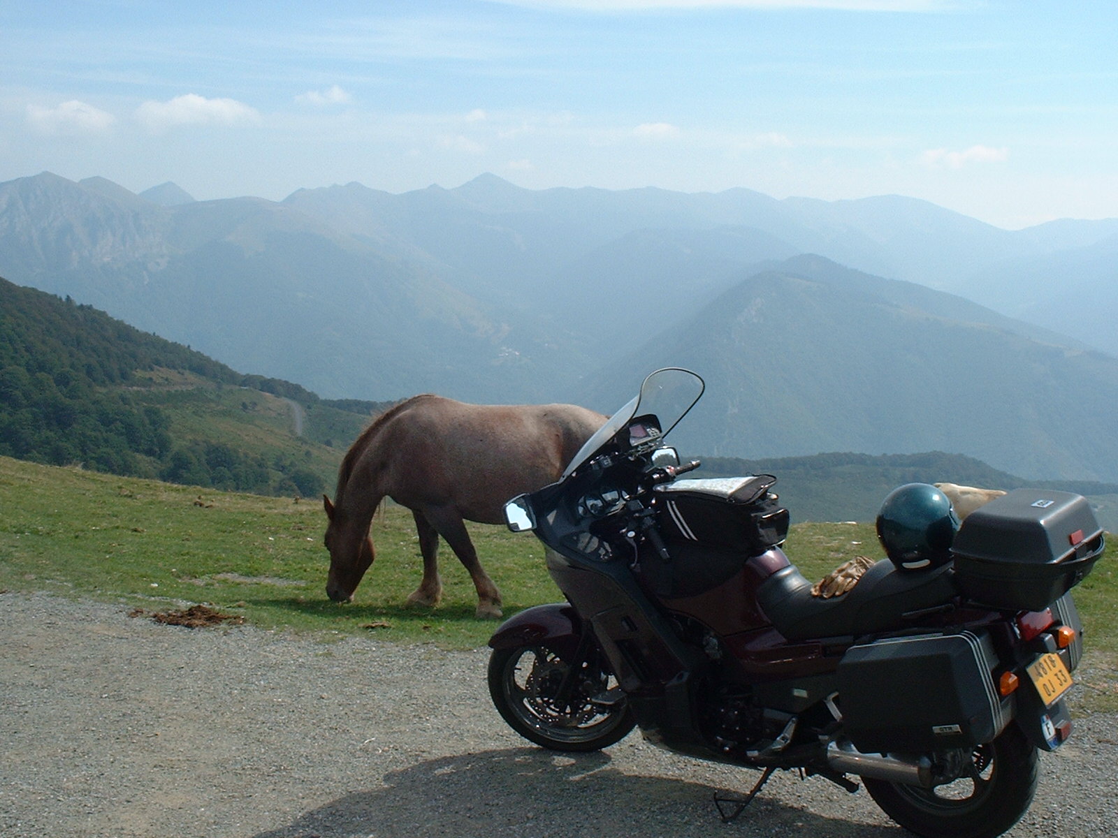 Grazing in the Alps