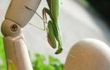 09084105www-mangl-at.jpg