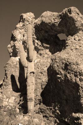 Sepia Cactus and Hole in the Rock