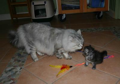 Feyodor & Dad again