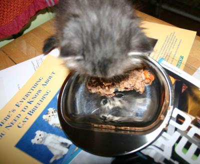 ... and Feyodor doesn't mind that!