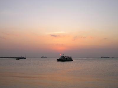 P4100057c.jpg