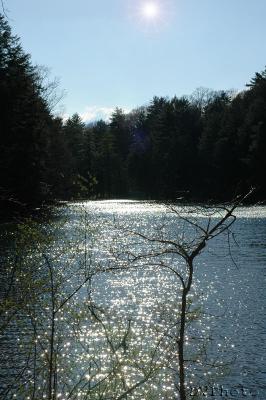 Yaddo2.jpg