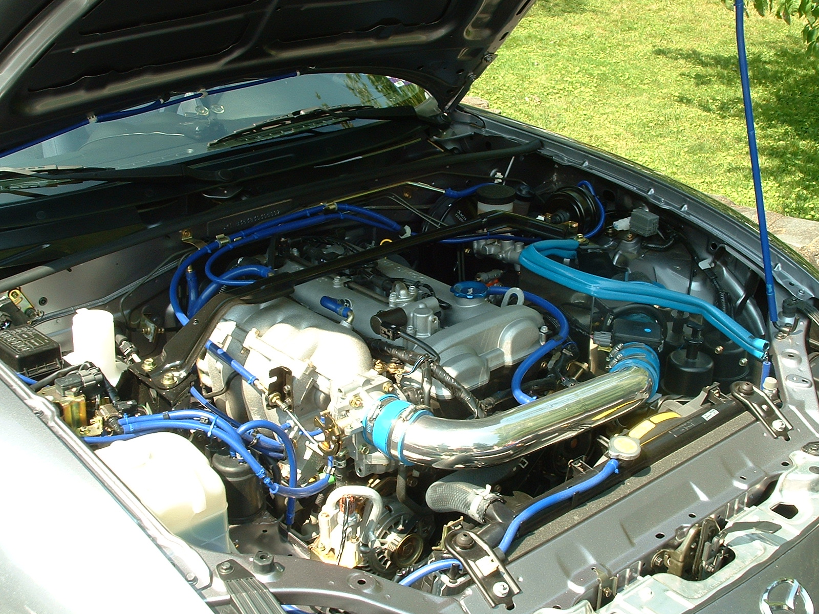 DSCF0012.JPG