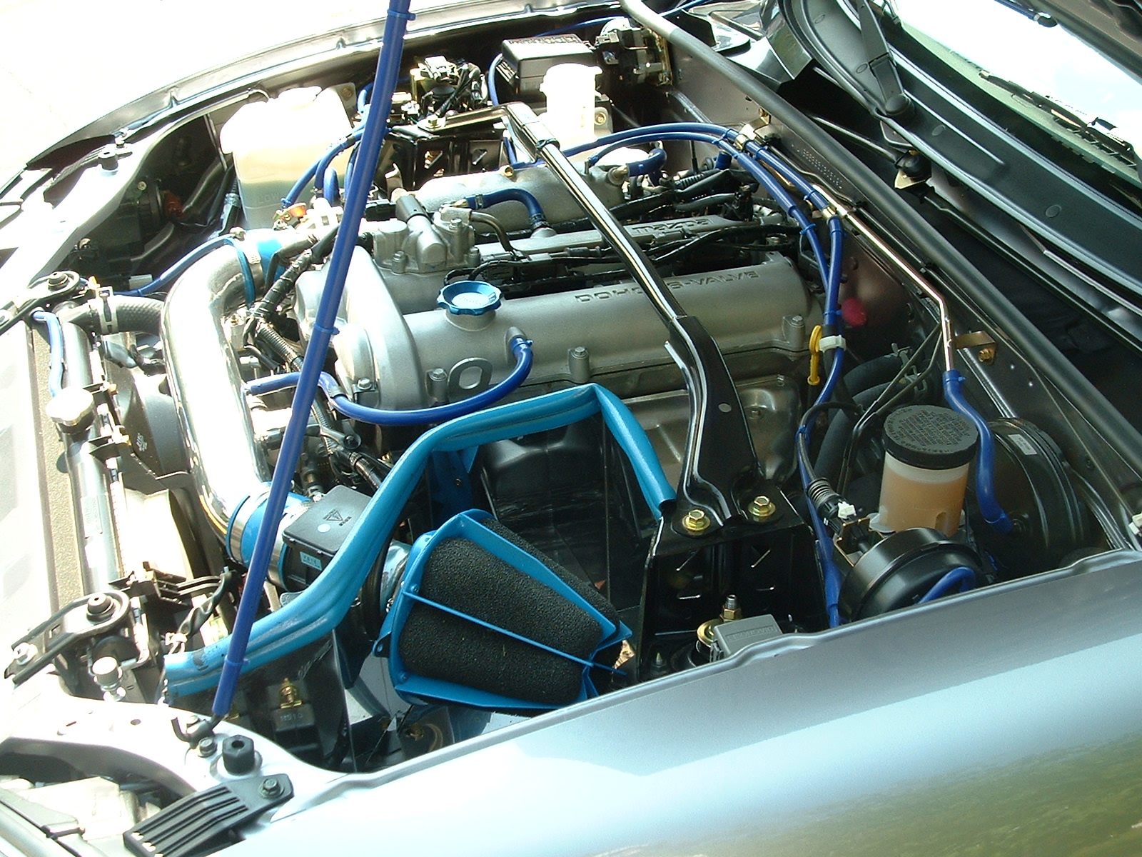 DSCF0013.JPG