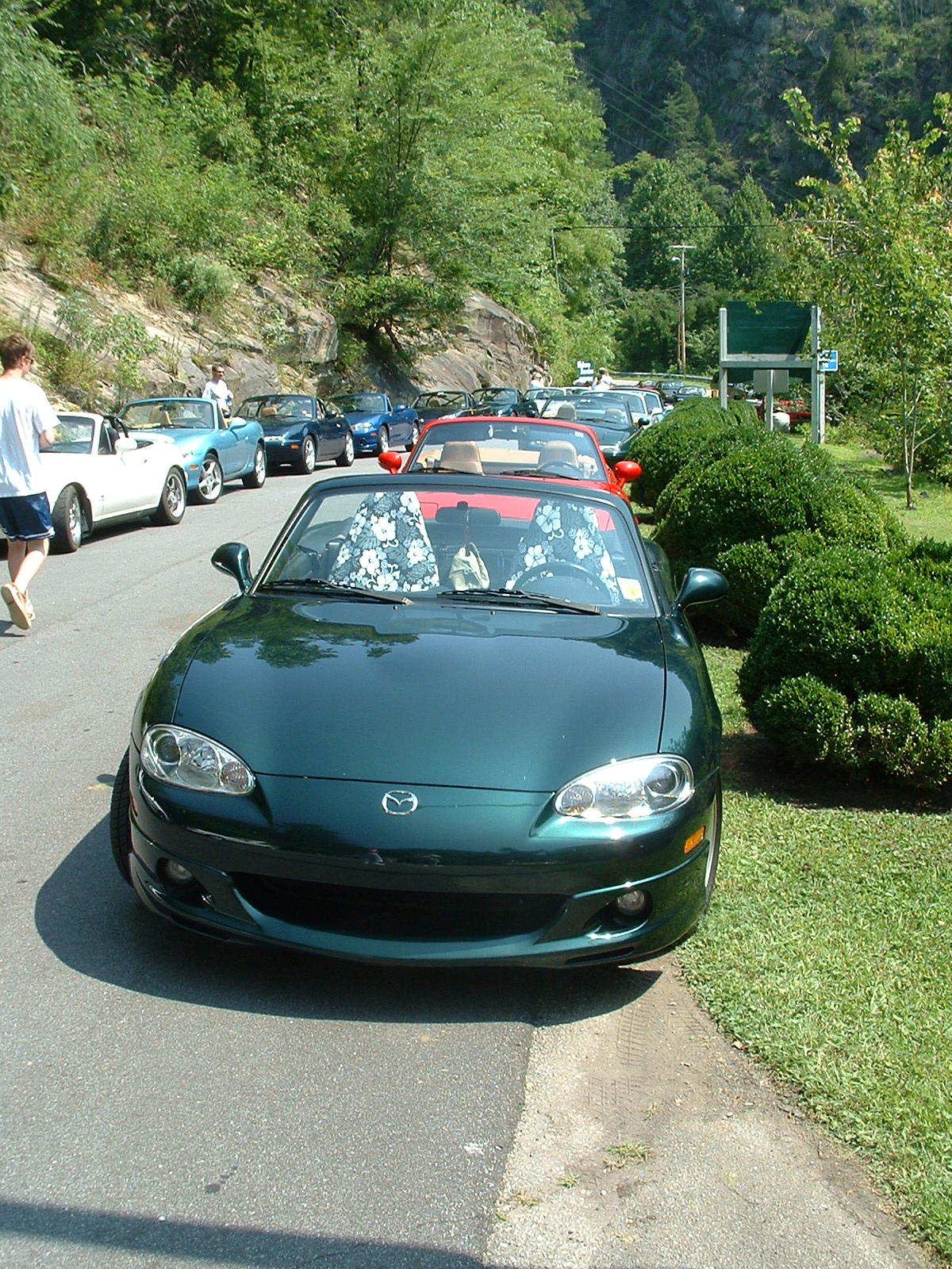 DSCF0020.JPG