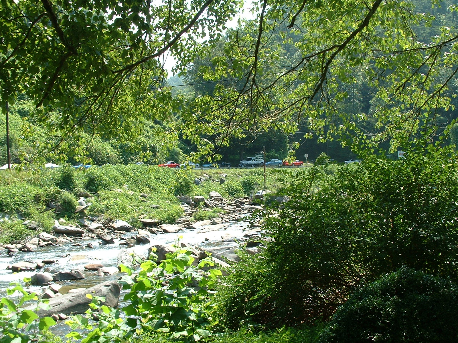 DSCF0024.JPG