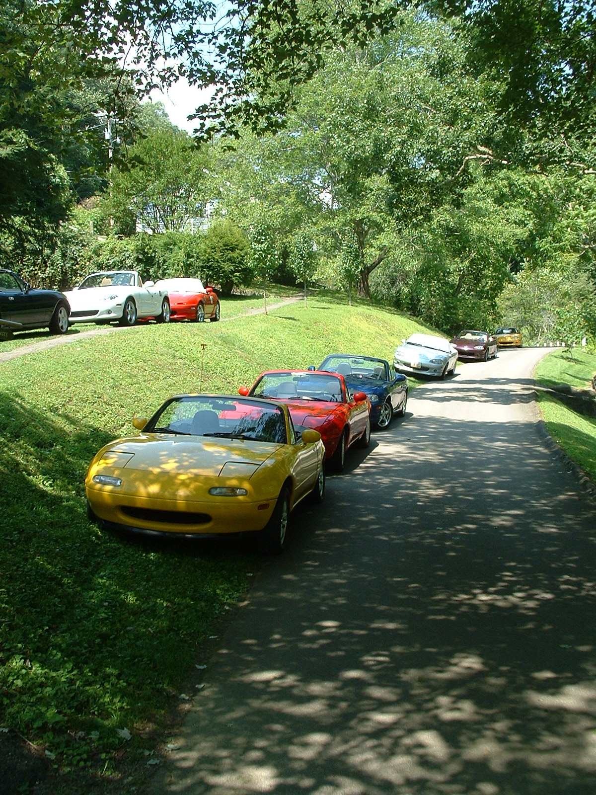 DSCF0032.JPG
