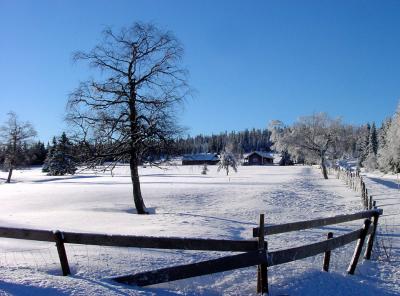 Snow for skiing - at last!!