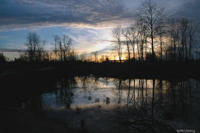 Sunset over Delta Ponds