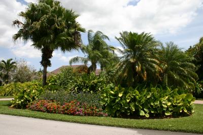 Miami Fl. Flowers and Greens April 2005.