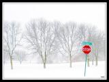 Signs and Tress