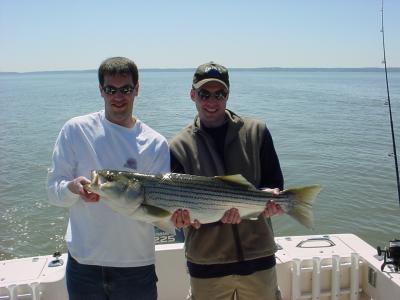 Neil and Chris team up on 40 Striper for release