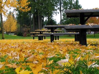 Highlands Park Fall