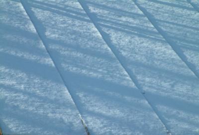 Lines in The Snow