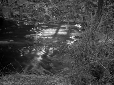 u15/garyallenbrown/medium/38919519.M4.jpg
