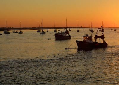 Fishing fleet