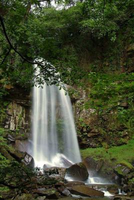 Melincourt Waterfall