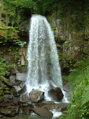 Melincourt Waterfall