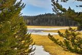 Beaver Dam in Winter