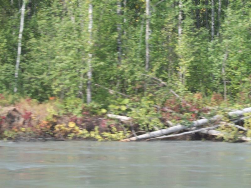 Talkeetna Jetboat 5