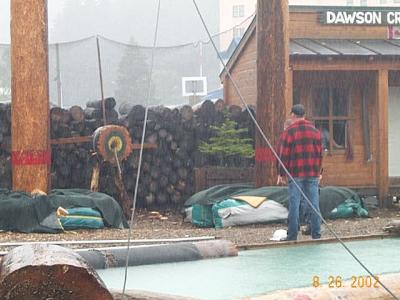 Lumberjack Show 12