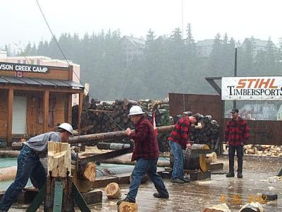 Lumberjack Show 16