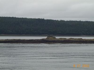 Juneau 8 - Eagles