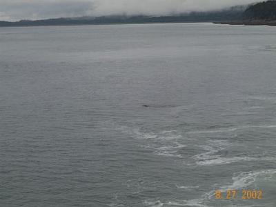 Juneau 9
