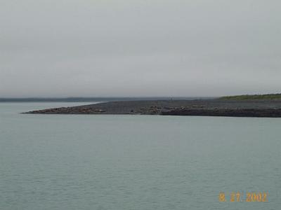 Juneau 27 - Sea Lions!
