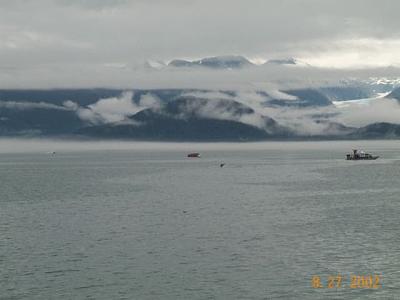 Juneau 37