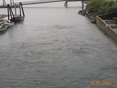 Juneau 39 - Salmon Hatchery