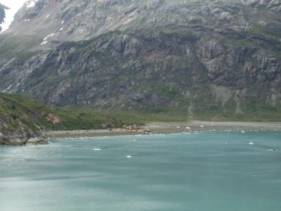 Glacier Bay 38