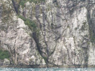 Glacier Bay 40