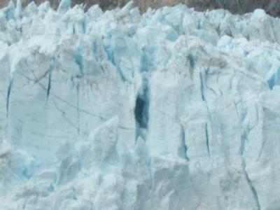 Glacier Bay 48